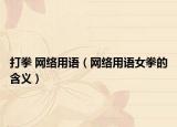 打拳 网络用语（网络用语女拳的含义）