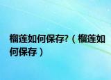 榴莲如何保存?（榴莲如何保存）