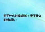 枣子什么时候成熟?（枣子什么时候成熟）