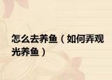 怎么去养鱼（如何弄观光养鱼）
