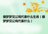 做梦梦见公鸡代表什么生肖（做梦梦见公鸡代表什么）