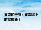 青杏的季节（青杏哪个时候成熟）
