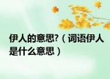 伊人的意思?（词语伊人是什么意思）
