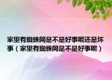 家里有蜘蛛网是不是好事呢还是坏事（家里有蜘蛛网是不是好事呢）