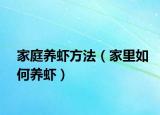 家庭养虾方法（家里如何养虾）