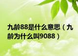 九龄88是什么意思（九龄为什么叫9088）