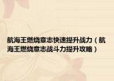 航海王燃烧意志快速提升战力（航海王燃烧意志战斗力提升攻略）