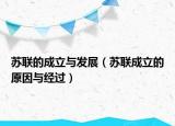 苏联的成立与发展（苏联成立的原因与经过）