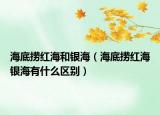 海底捞红海和银海（海底捞红海银海有什么区别）