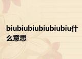 biubiubiubiubiubiu什么意思
