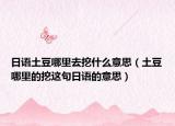 日语土豆哪里去挖什么意思（土豆哪里的挖这句日语的意思）