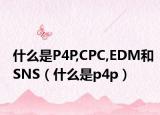 什么是P4P,CPC,EDM和SNS（什么是p4p）