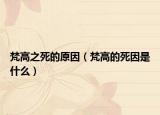 梵高之死的原因（梵高的死因是什么）