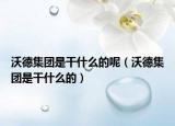沃德集团是干什么的呢（沃德集团是干什么的）