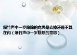 爆竹声中一岁除除的意思是去掉还是不算在内（爆竹声中一岁除除的意思）
