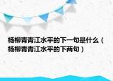 杨柳青青江水平的下一句是什么（杨柳青青江水平的下两句）