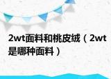 2wt面料和桃皮绒（2wt是哪种面料）