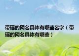 带瑶的网名具体有哪些名字（带瑶的网名具体有哪些）