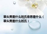 草头黄是什么姓氏意思是什么（草头黄是什么姓氏）