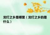 龙灯之乡是哪里（龙灯之乡的是什么）