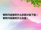 鹌鹑鸟需要吃什么东西才能下蛋（鹌鹑鸟需要吃什么东西）