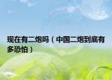 现在有二炮吗（中国二炮到底有多恐怕）