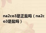 na2co3是正盐吗（na2co3是盐吗）