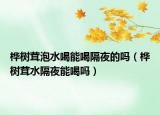 桦树茸泡水喝能喝隔夜的吗（桦树茸水隔夜能喝吗）
