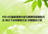 9月14日最新更新内容玉髓辨别真假的方法 有以下这些辨别方法 详细情况介绍