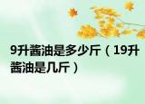 9升酱油是多少斤（19升酱油是几斤）