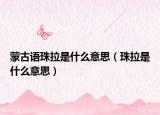 蒙古语珠拉是什么意思（珠拉是什么意思）