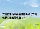 五岳位于山东的是哪座山峰（五岳位于山东的是哪座山）