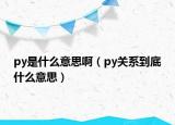 py是什么意思啊（py关系到底什么意思）