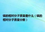 镁的相对分子质量是什么（镁的相对分子质量分数）