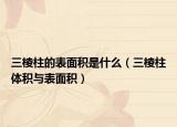 三棱柱的表面积是什么（三棱柱体积与表面积）