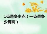 1克是多少克（一克是多少两啊）