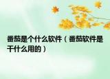 番茄是个什么软件（番茄软件是干什么用的）