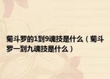 菊斗罗的1到9魂技是什么（菊斗罗一到九魂技是什么）