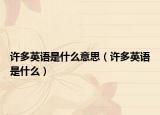 许多英语是什么意思（许多英语是什么）