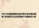 9月14日最新更新内容羊脂玉怎样鉴别真假 这些鉴定方法非常简单 详细情况介绍