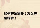如何养殖绿萝（怎么养殖绿萝）