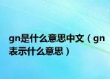 gn是什么意思中文（gn表示什么意思）