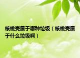 核桃壳属于哪种垃圾（核桃壳属于什么垃圾啊）