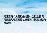 网红湾湾个人简历是谁做什么行业的 胡湾哪里人写真照片在哪看具体情况详细内容介绍