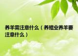 养羊需注意什么（养殖业养羊要注意什么）