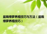盆栽绿萝养殖技巧与方法（盆栽绿萝养殖技巧）