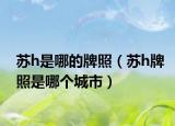 苏h是哪的牌照（苏h牌照是哪个城市）