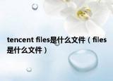 tencent files是什么文件（files是什么文件）