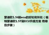 蒙迪欧1.5t刷ecu的好处和坏处（福特蒙迪欧1.5T刷ECU升级方案 有哪些步骤）
