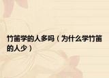 竹笛学的人多吗（为什么学竹笛的人少）